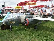 Flugtag Hemau 2008 284